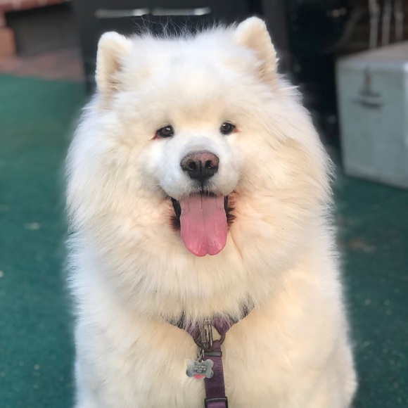 Meet your Posher, Jb - Picture 1 of 1